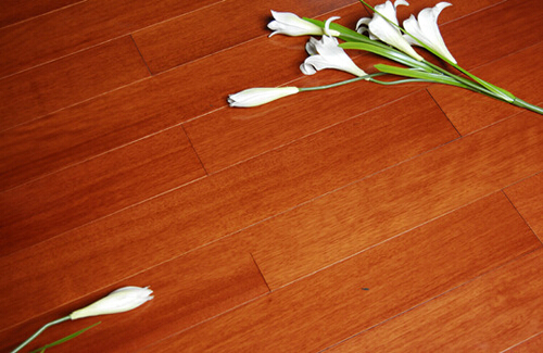 ��ͥ�b��������m��ľ�ذ���˽�N��_(k��i)ʼ