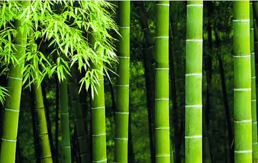 ��Ԋ���¹񣺭h(hu��n)���cƷ�|(zh��)�p���T�󡱴������ۺû鷿