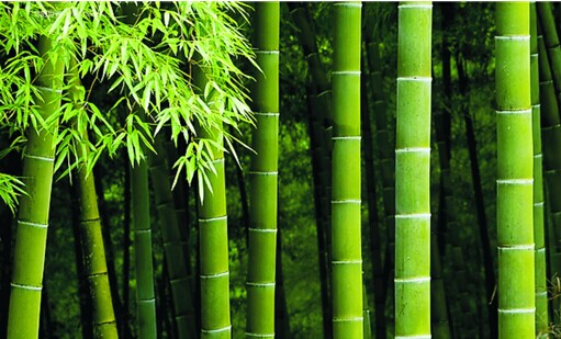 ��ľ̿�¹���m(x��)�ߟ��Ј�(ch��ng) ��Ԋ(sh��)���ҕ���������