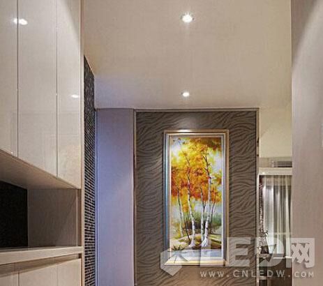 ���գ�LED�����LEDͲ�� ɵɵ�ֲ�����