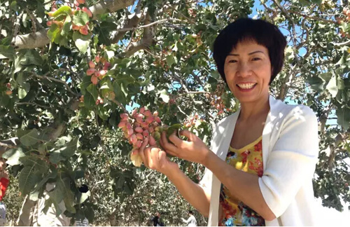 ����t :����(li��n)�W(w��ng)+���r(sh��)�� O+O΢���ģʽ���_(k��i)����