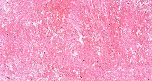 ����ˇ�gͿ��Ʒ�ƣ�С�����w�f�fˇ�gͿ��