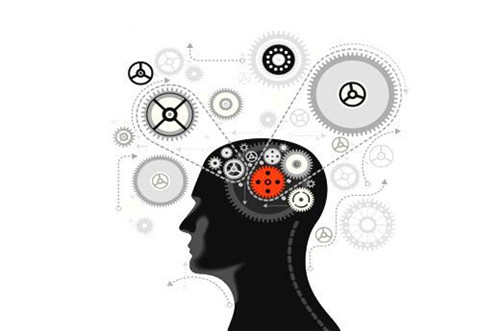 ���ƠI(y��ng)�Nͬ�|(zh��)�� С�����I(y��)������Լ�����ɫ·��