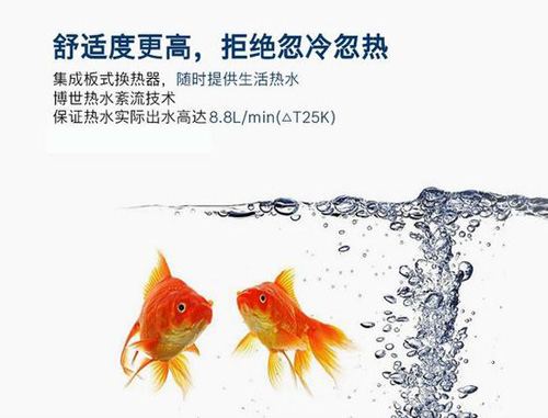 �����ڒ�t�cС����ڒ�t��(qi��ng)��(sh��)���ƴ