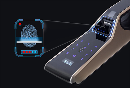 ʮ�������iƷ�ƣ���(sh��)����(y��u)���������ھ�