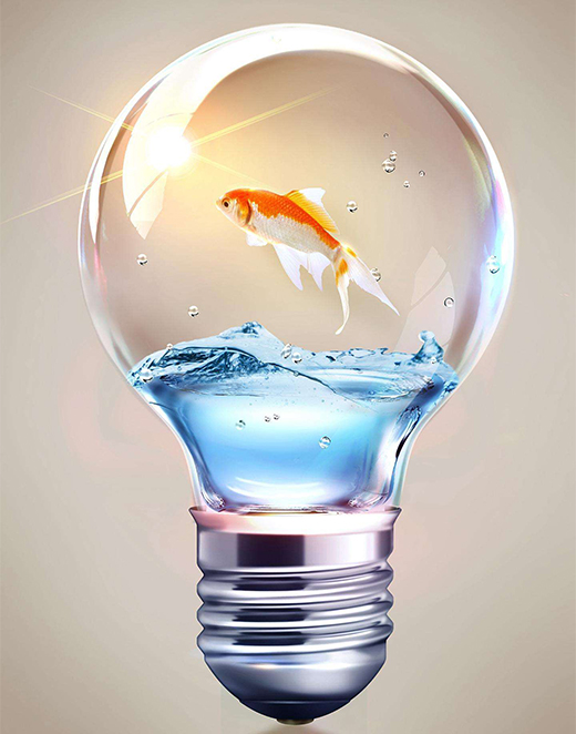 �Ї����������ӄݞ郞(y��u)�� ���ô��N�ۼ��˚�