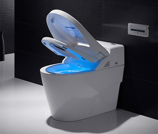 智能馬桶新國(guó)標(biāo)出爐 能否帶來(lái)下一個(gè)新風(fēng)口?