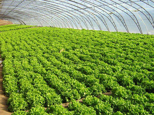 �߲˻����Q��ӛ�����Ї����g׌�ϓ��׶����^(q��)�r(n��ng)������˜\