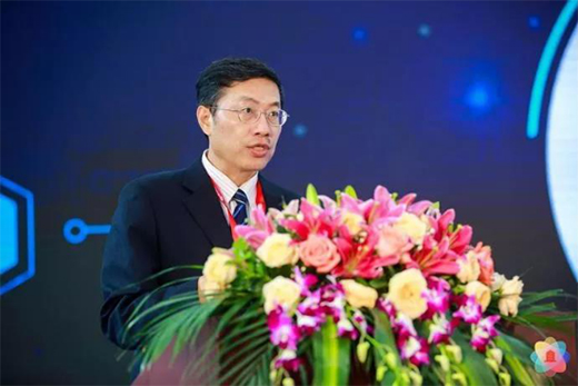 ���������i��2019�V�ݽ�����(hu��)��푡��(qi��ng)����