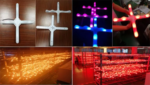 ��ʿ�����s�@��2019�������@�������a(ch��n)Ʒؕ�I(xi��n)����