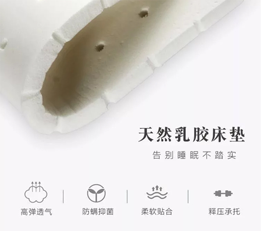 һ��С�����Ͳ�o�����z���|��������816��˯�߲�ȱϯ