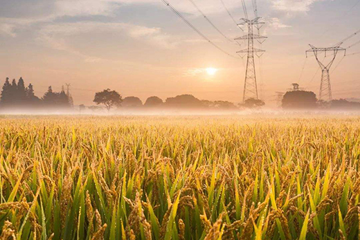 ˷���T�I(y��)| ̎����������˶�ֹ��