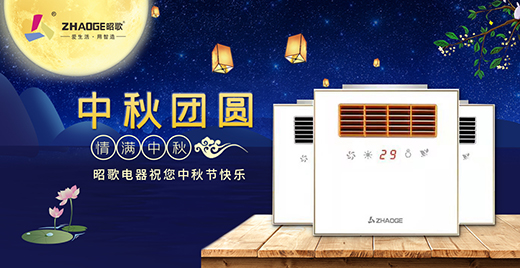 ��ϵ���� �����Ѹ���ԡ��