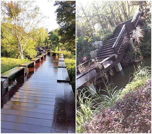 ���������h(hu��n)�� �ֵ����Ȫ�����@������������