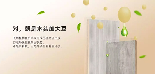 ���c�oȩ�������B(t��i)�����o����һ������ȩ���ļ�