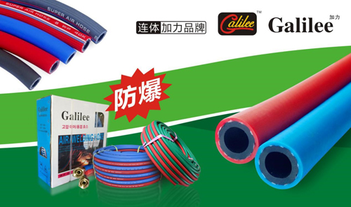 ���ĸ�(j��ng)��(zh��ng)��͹�@ �|��ܘI(y��)Ʒ��DNA��λ�ИI(y��)�߶�