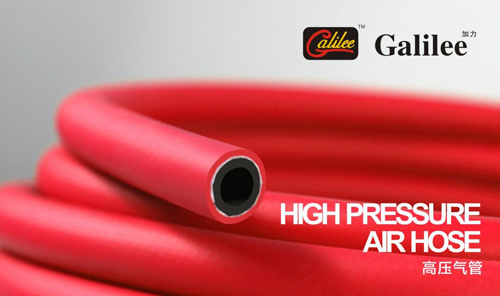 ���ĸ�(j��ng)��(zh��ng)��͹�@ �|��ܘI(y��)Ʒ��DNA��λ�ИI(y��)�߶�