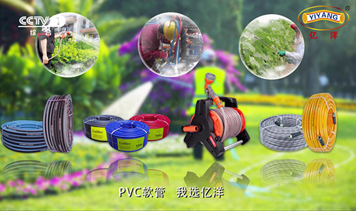 2019�չ�֮�� �|��ܘI(y��)��ҕ�V��Ƭ�_��