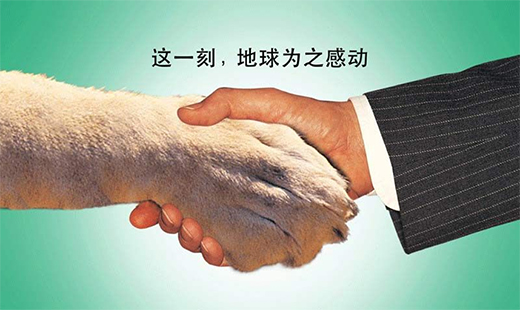 �s���_(d��)�N�l(w��i)������ܽ^Ұζ �I(y��ng)�B(y��ng)��ʳ�������g��ζ