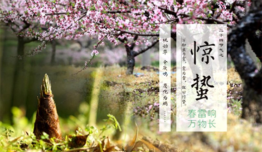 �@�U����������!�P(y��ng)�ӽ���늟�ˮ���������т�������!