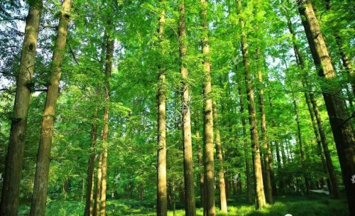 ����֮�£�����Ψ�н����o�r����ʮ����Ʒ�ưٵČ�