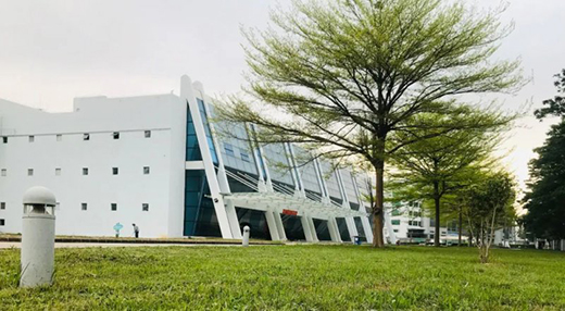 TCL�A�����������N��һƬ��G��׌����͹����������C(j��)