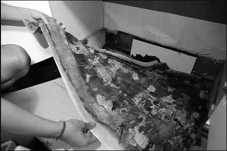 Ӳ�˶��� | �����Ҿӑ�(zh��n)������ ����լ ������!