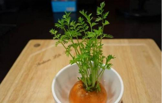 ���P���ߌ����w�����Л]��Ӱ�