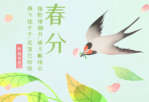 ���P��ľ�T(m��n)����ؓ(f��)���ⲻؓ(f��)��(m��ng)����