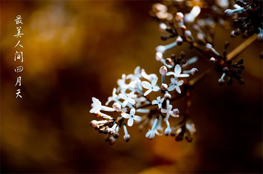 Ϳ�m��ˇ�g(sh��)Ϳ�ϣ����������ߝu�h(yu��n)���������!!