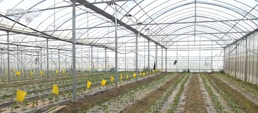 ȫ��(gu��)���˻@�ӡ��a(ch��n)Ʒ����(y��ng)�������� �Ј�(ch��ng)�\(y��n)�п��wƽ��(w��n)