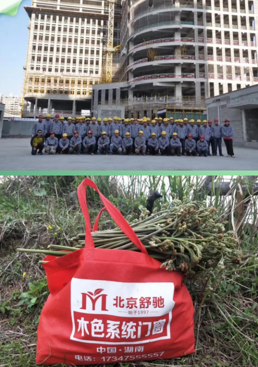 ľɫ�T�����Ĵ�ϣ�����ƵZǰ��