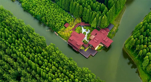 �|���T�I(y��)���c���]�����c������