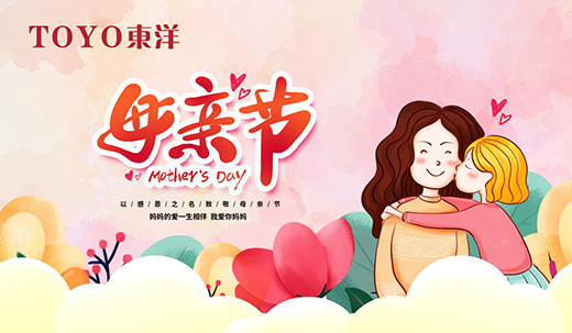 TOYO�|����������f�����ڵĐۣ����M(j��n)�����ďN��