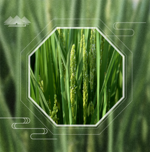 �A�����|24��(ji��)��������������ϲ�g�Ġ�B(t��i)��С�M���A�M!