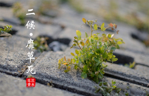 �A�����|24��(ji��)�����������ϲ�g�Ġ�B(t��i)��С�M���A�M!