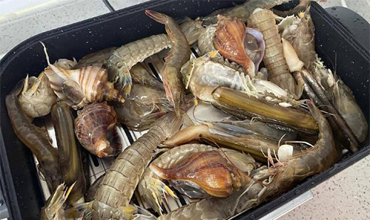 �NˇС�ױ؂�֮�������ϚW�W(w��ng)�t�?zh��n)��Ґ?��i)�ϏN��!