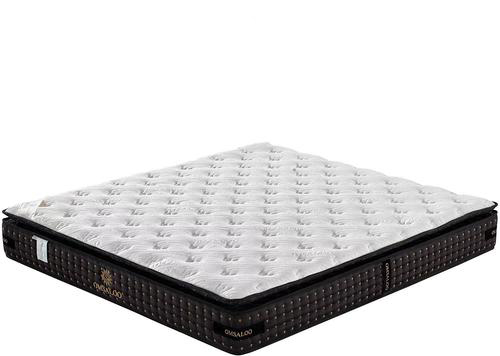 OMSALOO ���|���������m�������x