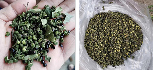 �W˼����û�����əC��ÿ��ɻ����H��0.5���