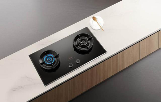 2020��ȼ��������а� ��(y��u)�|(zh��)ȼ�����Ì����fԒ