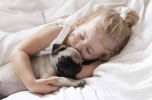 껌� | �ô��|����(y��u)�|(zh��)˯���ж���Ҫ