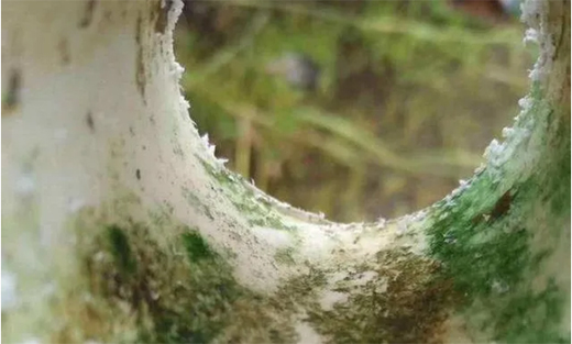 ��ܵ��ܘI(y��)���á������������ȡ�������ˮ