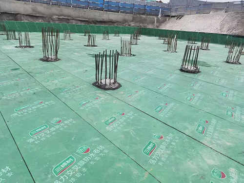 ���Ø��ˮ����31�������W(xu��)���\(y��n)��(d��ng)��(hu��)�����(xi��ng)Ŀ���O(sh��)