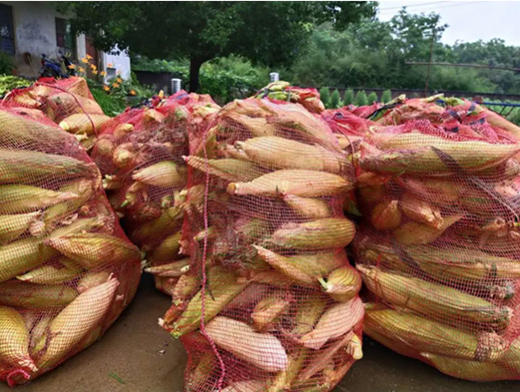 �K����벢�e��Ӳ������һ������