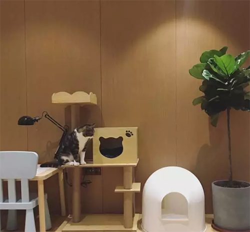 ���b�����׌����ֵ������!