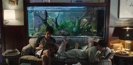 �����T�I(y��) | ����ʮ���ѡ��Ҿ��x����ֻ�ǡ����ѡ�