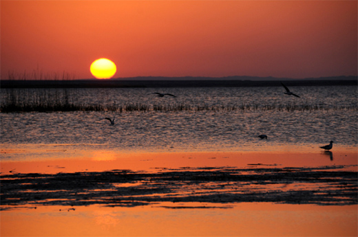 ���ճ� ·���l(w��i)ʿ�����c��һ·���ͬ��