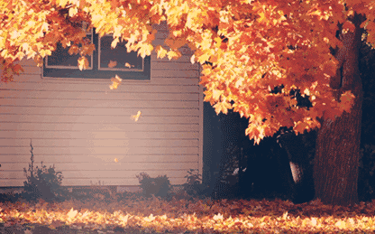 ⠺�������������һ�~֪��!