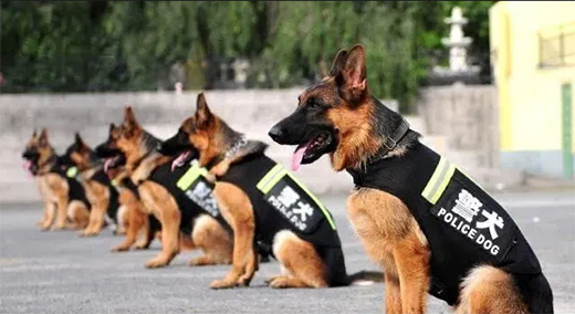 Ω����LED�w���������ٽ��م����c�����ڹ����־�Ȯ����!