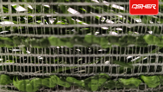 ���O(sh��)�w���l(f��)��ENOCH���Z��ٻ쿗��ƺ����?q��)������ИI(y��)څ��(sh��)